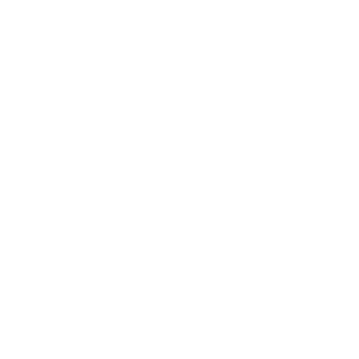 journal for self reflection